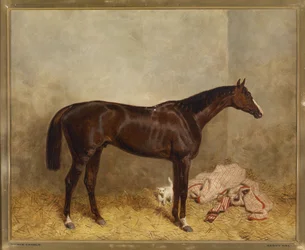 Prince Charlie
